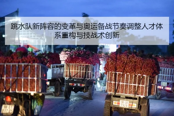 跳水队新阵容的变革与奥运备战节奏调整人才体系重构与技战术创新